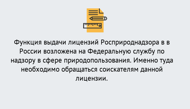 Почему нужно обратиться к нам? Тында Лицензия Росприроднадзора. Под ключ! в Тында