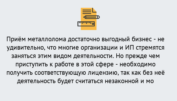 Почему нужно обратиться к нам? Тында Лицензия на металлолом. Порядок получения лицензии. В Тында