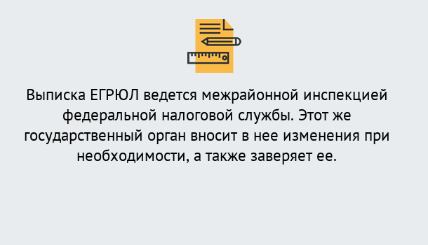 Почему нужно обратиться к нам? Тында Выписка ЕГРЮЛ в Тында ?