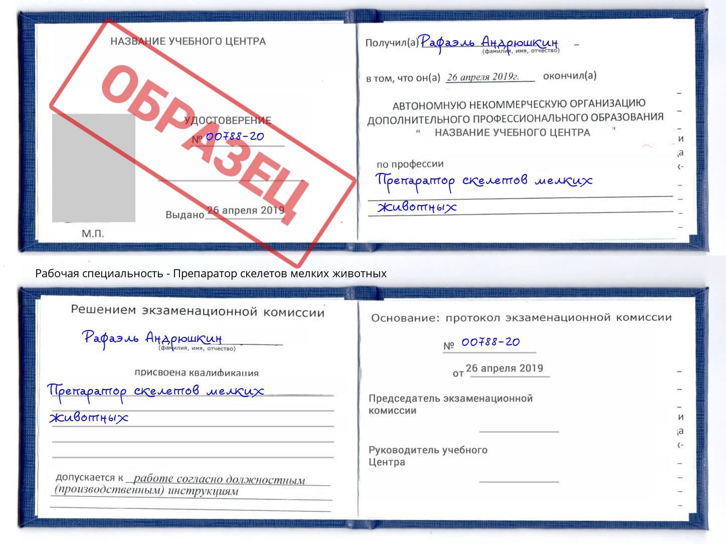 Препаратор скелетов мелких животных Тында