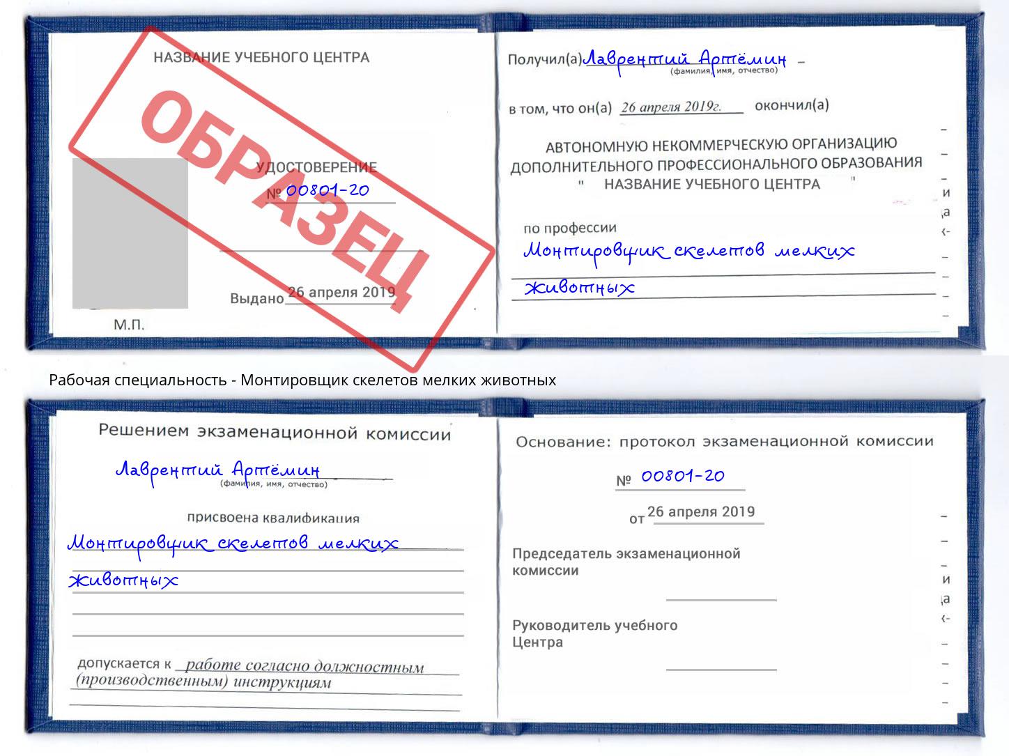 Монтировщик скелетов мелких животных Тында