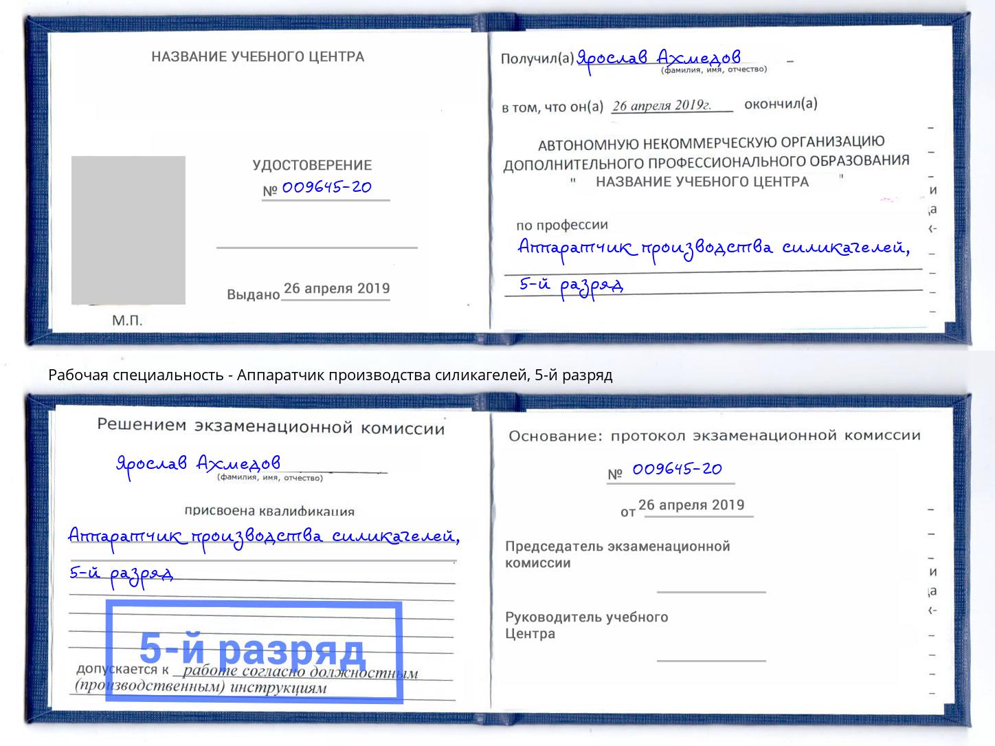 корочка 5-й разряд Аппаратчик производства силикагелей Тында