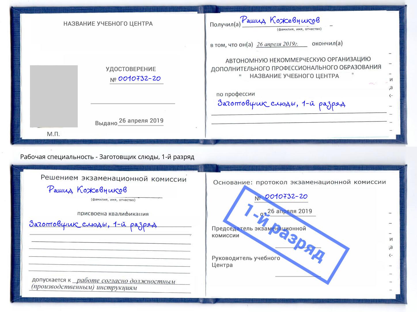 корочка 1-й разряд Заготовщик слюды Тында